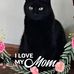 Profile Picture of Diane Simonson (@diane.simonson.9) on Facebook