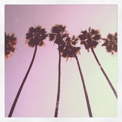 Profile Picture of bella alvarado (@bellaa_alvaradd) on Twitter