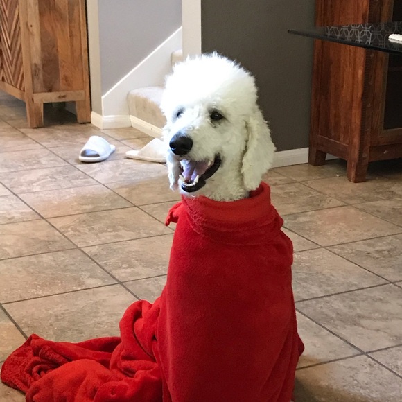 Profile Picture of Mikiko Bernal (@mikikobernal) on Poshmark