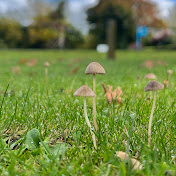 Profile Picture of Bryan Ong (@BryanOng-hl2kx) on Youtube