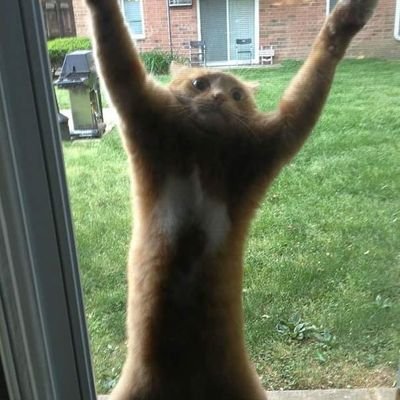 Profile Picture of Jason The Sinner (@JasonTheSinner1) on Twitter