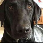 Profile Picture of John Taff (@johntaff86) on Instagram