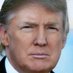 Profile Picture of Daniel | Trump Won. Hydroxychloroquine Works. (@mentalhead0) on Twitter