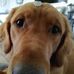 Profile Picture of Paul Perry (@paul.perry.14) on Facebook