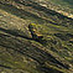 Profile Picture of Tim Cox (@TimCox2) on Flickr