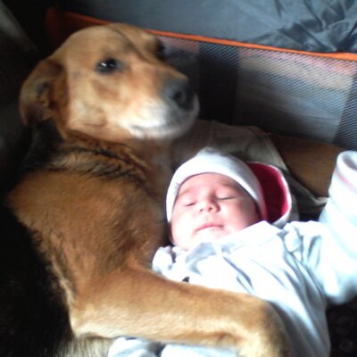 Joel Ernan Fierro - Twitter Profile Picture of Joel Ernan Fierro (@JhfeJ) on Twitter