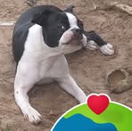 Profile Picture of Jason Orsak (@jason.orsak) on Facebook