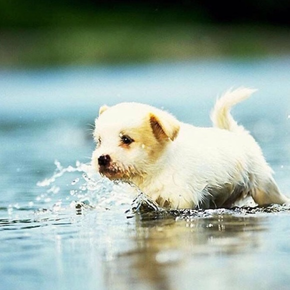 Profile Picture of Hilary Perez (@sktfw914284) on Poshmark