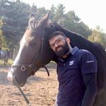 Profile Picture of Adam Maślany (@humans_horses_and_dog) on Instagram