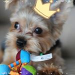 Profile Picture of Nora Wong (@nora.wong.560) on Instagram