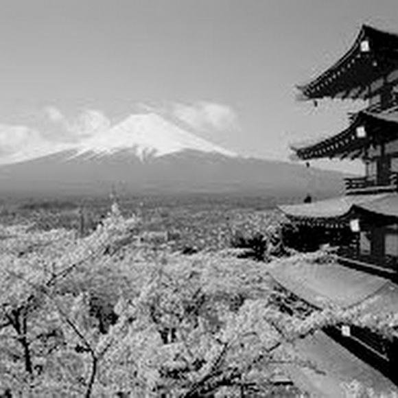 Profile Picture of Brian guillermo Guzman villegas (@pato92) on Poshmark