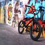 joey dunham will templeton - Instagram Profile Picture of joey dunham will templeton (@willjoeybmx) on Instagram