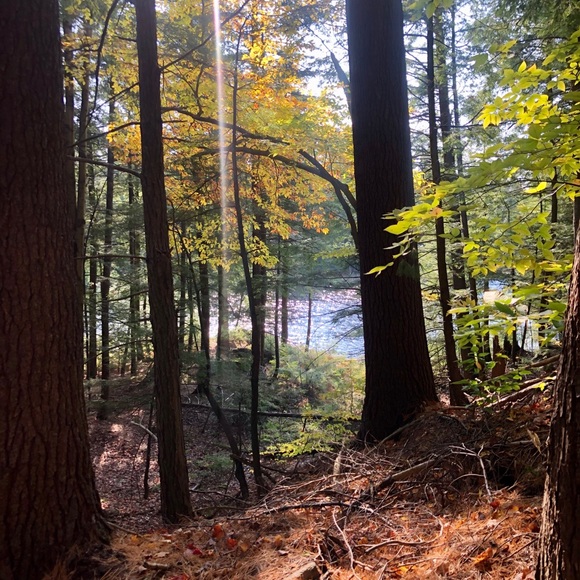 Profile Picture of Katina Sudermann (@katsud4) on Poshmark