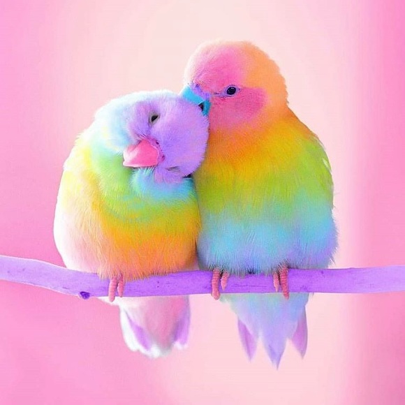 Profile Picture of Julissa Mann (@jumann) on Poshmark