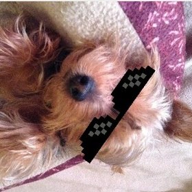 Profile Picture of Calvin Caswell (@bork.bork.7712) on Facebook