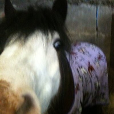 Profile Picture of Lucy Selby (@lselby247) on Twitter