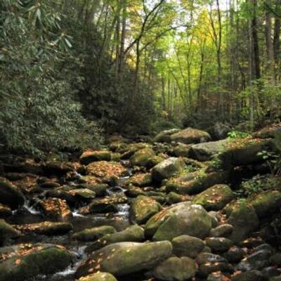 Profile Picture of Andrew Damiani (@ADam0364) on Twitter