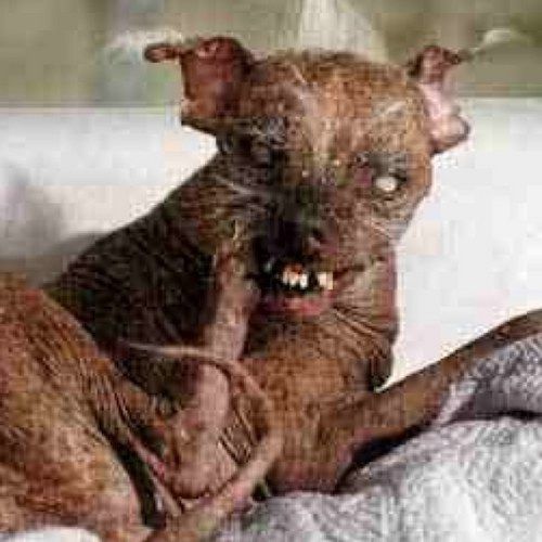 Profile Picture of Craig (@craigbeddis) on Tiktok