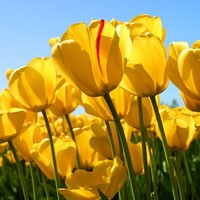 Profile Picture of Willikies Police Station (@willikies-police-station) on Quora