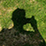 Profile Picture of Bryan Davis (@bryanrdavis) on Flickr
