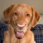 Profile Picture of John Hirsch (@johnisthewinner) on Instagram