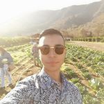 Profile Picture of César Cuenca Sampson (@cesarqenca) on Instagram