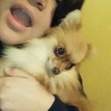 Profile Picture of Rachel Olvera (@rachelolvera2) on Twitter
