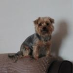 Profile Picture of Maureen Pearce (@maureenpearce1953) on Instagram