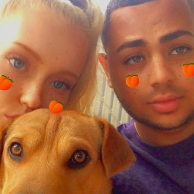 Profile Picture of Mark Habib (@_markhabib) on Twitter