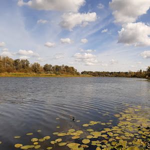 Profile Picture of Mark Poloni (@markpoloni) on Tiktok