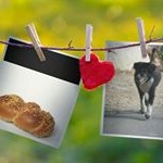 Profile Picture of william lichter (@william_the_fat) on Instagram