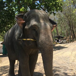 Profile Picture of Billy Tolley (@billy.tolley.1291) on Facebook