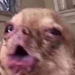 Profile Picture of Brooklyn Mack (@shh.brookiem) on Instagram