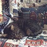 Profile Picture of Kathy Tieszen Neufeld (@kathytieszen) on Instagram