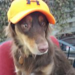 Profile Picture of shawn olsen (@shawnpar.so) on Instagram