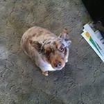 Profile Picture of Dennis Mcfadden (@dennis_mcfadden_) on Instagram