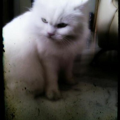 Profile Picture of Yee Hon Choong (@hcyee) on Twitter