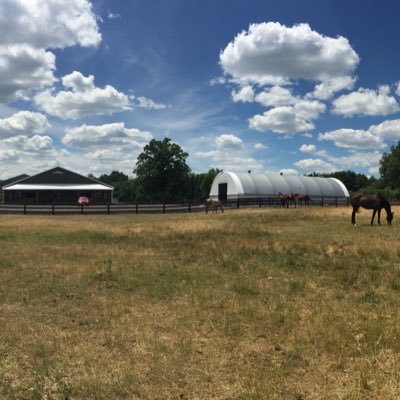 Profile Picture of Lori Whitaker (@Woodviewstables) on Twitter