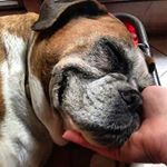 Profile Picture of Gianfra Fazio (@gianfrafazio) on Instagram