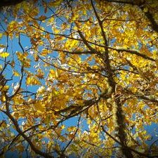 Profile Picture of Antonio Del Corral (@antoniodelcorra) on Twitter