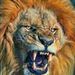 Profile Picture of Ramon De Leon (@rdsanchez61) on Pinterest