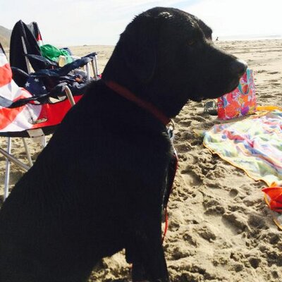 Profile Picture of Cathy Benjamin (@CathyBenjamin1) on Twitter