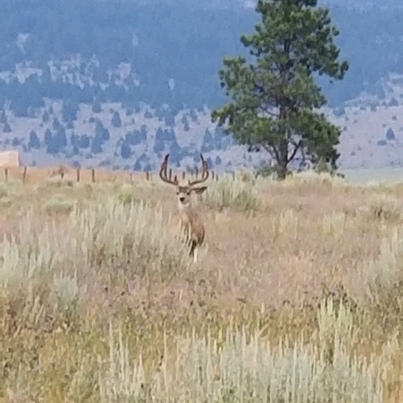 Profile Picture of Chad Wilkerson (@jawspreader) on Poshmark