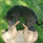 Profile Picture of John Runsvold (@john.runsvold.9) on Facebook