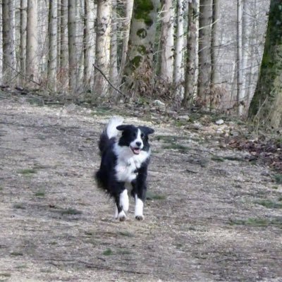 Profile Picture of Sonja Toth (@sonjatoth1) on Twitter