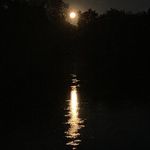 Profile Picture of Jodie L. Parrish (@jodie.parrish) on Instagram