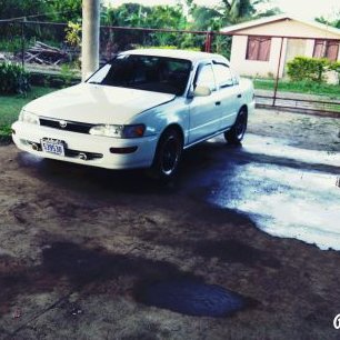 Profile Picture of Allan Cordero (@Allancordero94) on Twitter