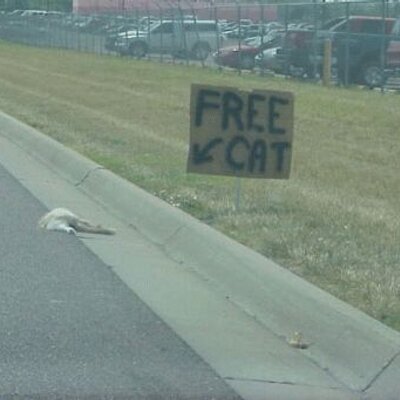 Profile Picture of Derek G Webb (@Bo_Webb) on Twitter