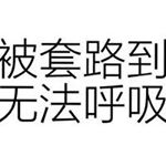 Profile Picture of Basil Wang (@basil.wang) on Instagram