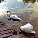 Profile Picture of bertlingdore (@bertlingdore) on Instagram